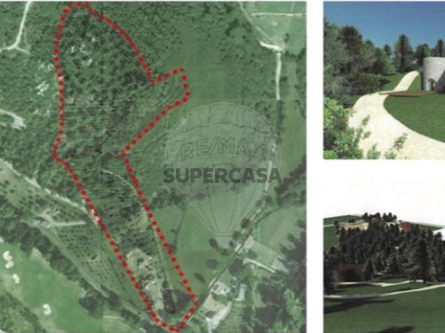 Terreno em S.Maria e S.Miguel, S.Martinho, S.Pedro Penaferrim