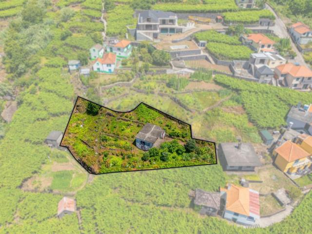Terreno em S. Vicente | Com Armazém Agrícola