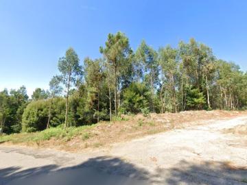 Terreno em S. Vicente de Pereira