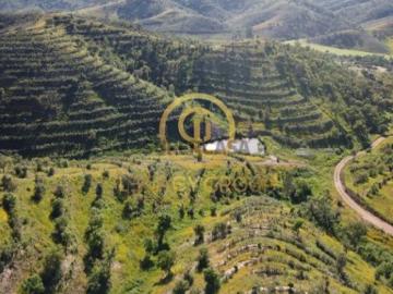 Saboia, Odemira, Distrito de Beja