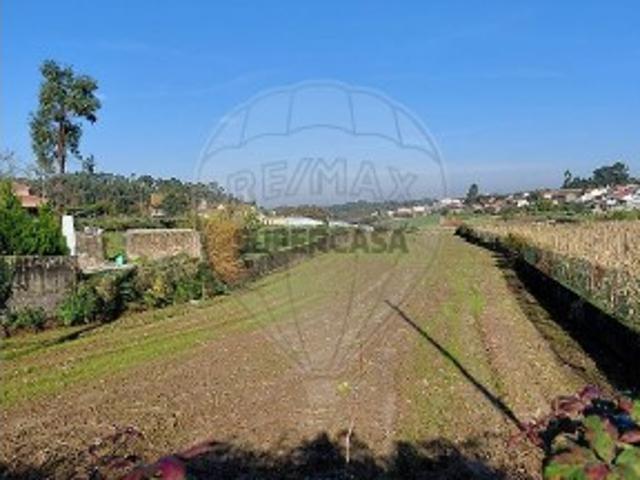 Terreno em Salreu