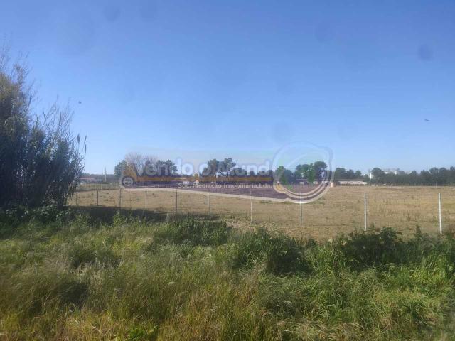 Terreno em Salvaterra de Magos S563