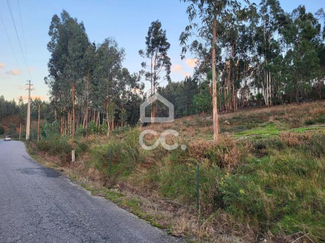 Terreno em Sande São Lourenço Guimarães