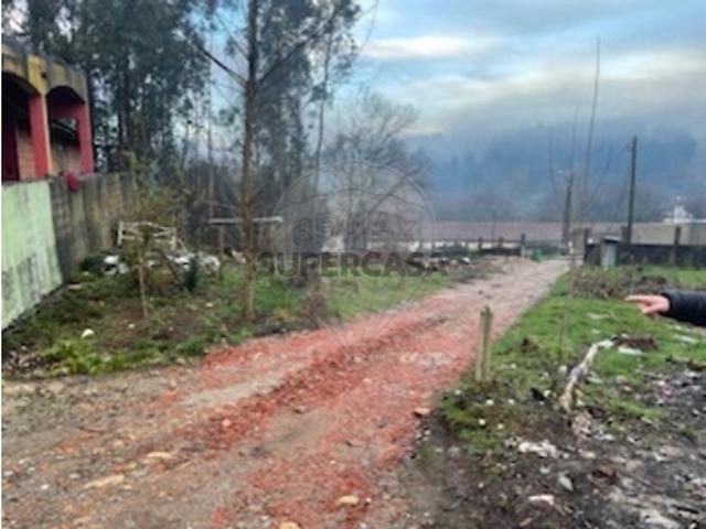 Terreno em Sanguedo