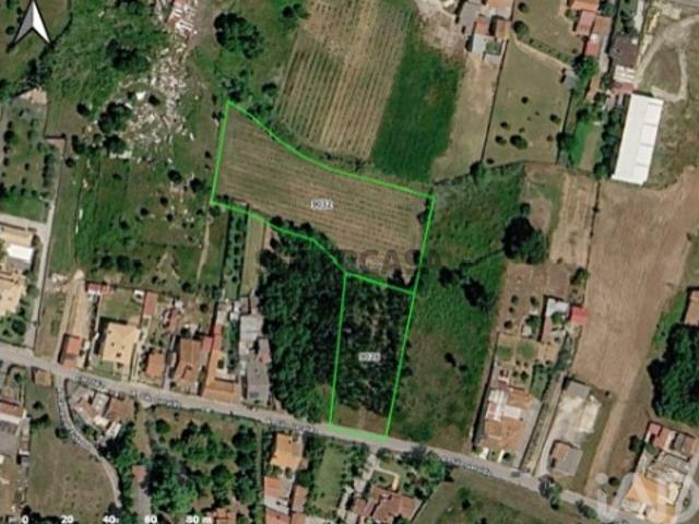 Terreno em Sangalhos
