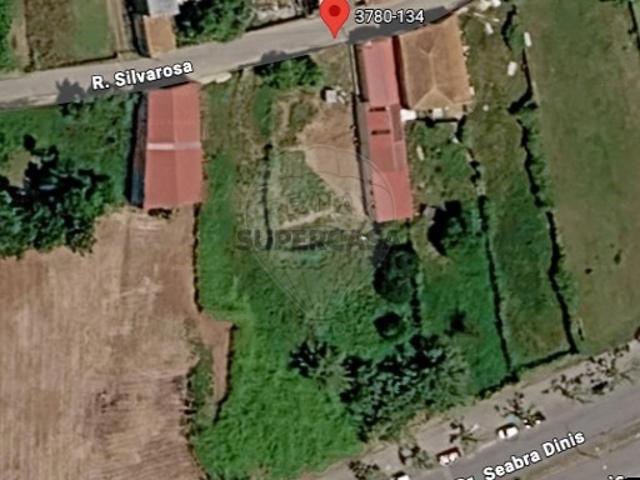 Terreno em Sangalhos
