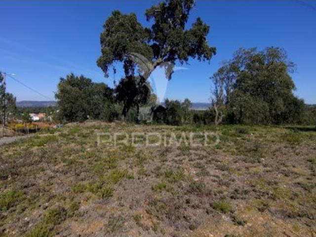 Terreno em Santa Margarida da Coutada