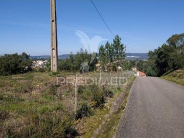 Terreno em Santa Margarida da Coutada