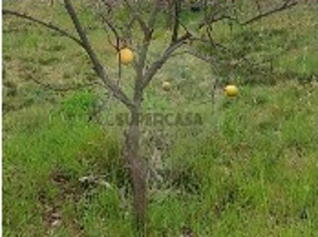 Terreno em Santa Maria da Feira, Travanca, Sanfins e Espargo