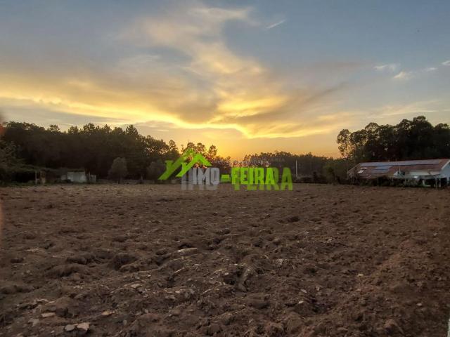 Terreno em Santa Maria da Feira