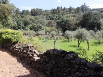 Terreno em Santa Maria de Marvão