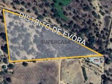 Terreno em Santa Susana