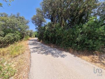 Terreno Agrícola em Santa Bárbara de Nexe