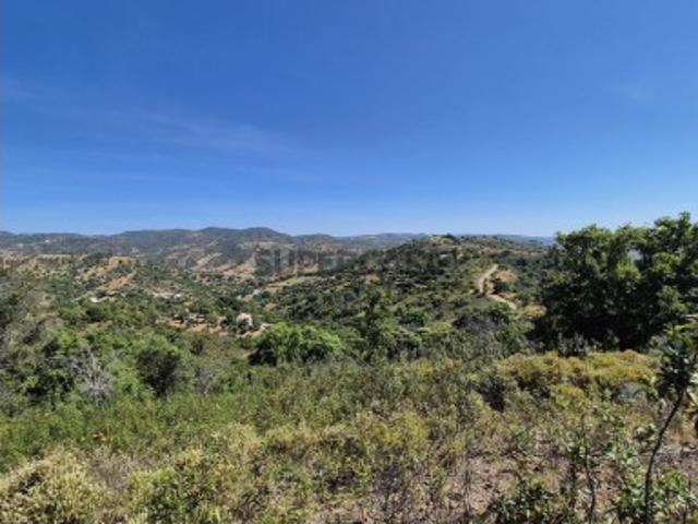 Terreno em Santa Catarina Da Fonte Do Bispo