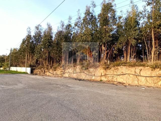 Terreno em Santa Catarina