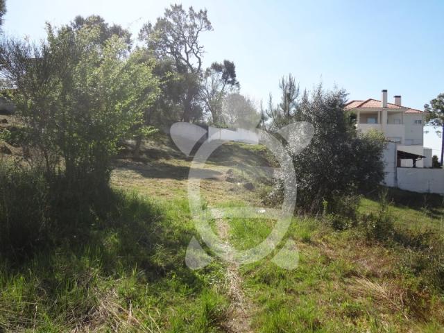 Terreno em santa Clara