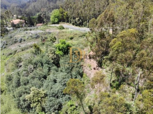 Terreno em Santa Cruz