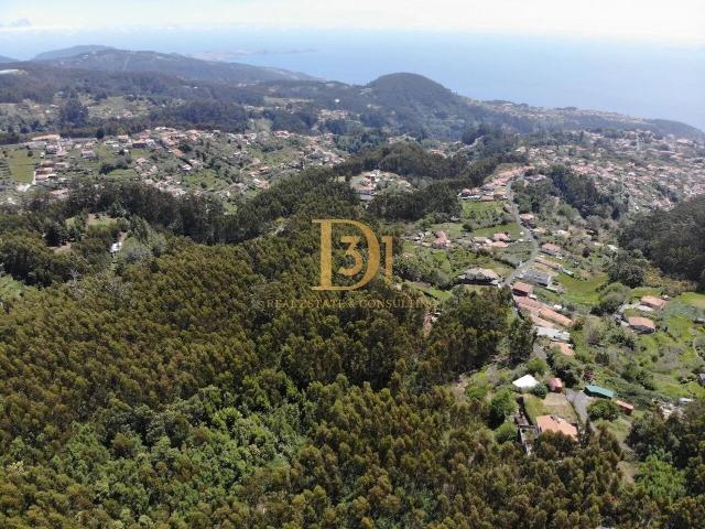 Terreno em Santa Cruz