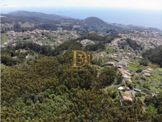 Terreno em Santa Cruz