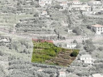 Terreno em Santa Cruz