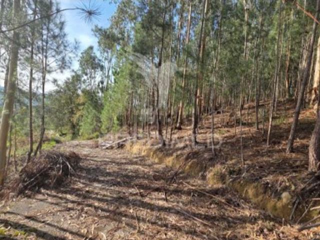 Terreno em Santa Eufémia e Boa Vista