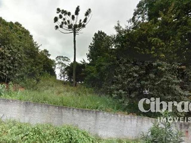 Terreno em Santa Felicidade com 909,00m² Jardim Vinhedos