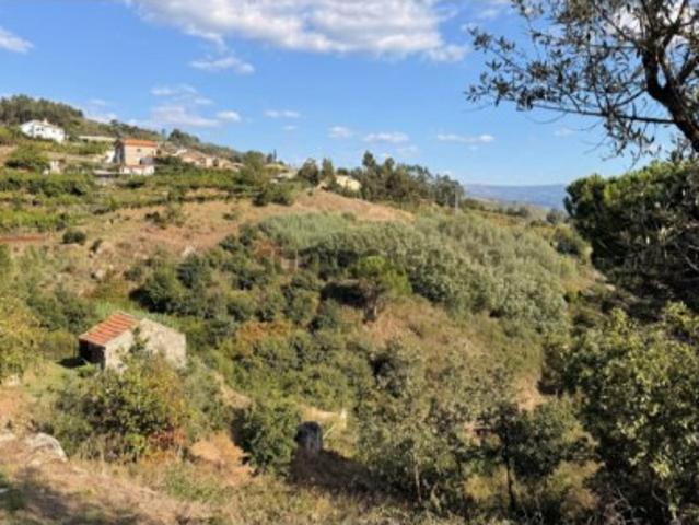 Terreno em Santa Leocádia e Mesquinhata