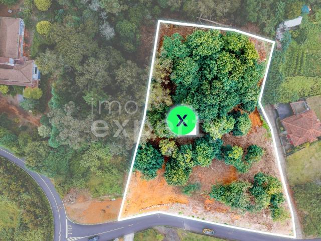 Terreno em Santana com 5090 m², Madeira