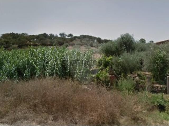 Terreno em Santiago Maior
