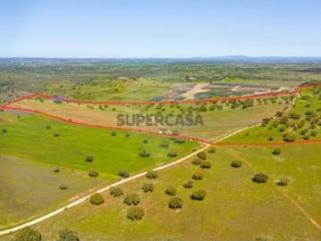 Terreno em Santiago Maior