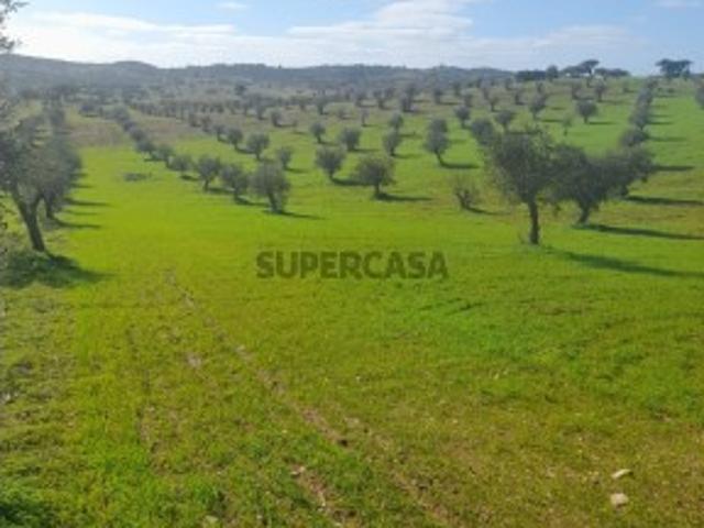 Terreno em Santiago Maior