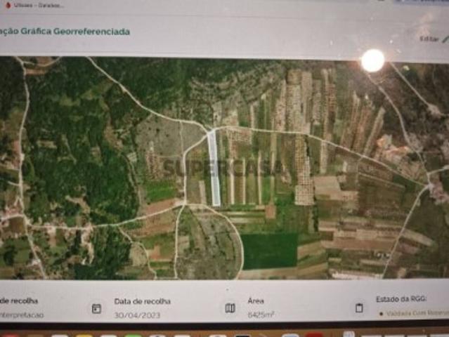 Terreno em Santiago da Guarda
