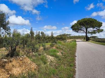 Terreno em Santiago de Montalegre