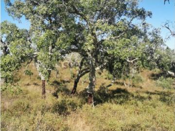 Terreno em Santiago do Cacém, S.Cruz e S.Bartolomeu da Serra