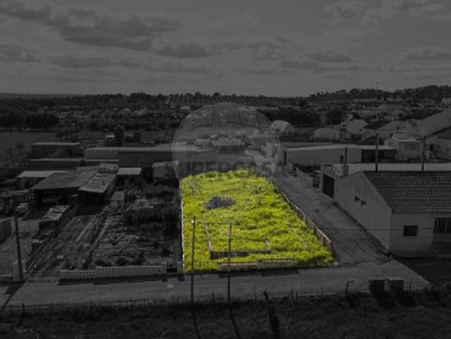 Terreno em Santiago do Escoural
