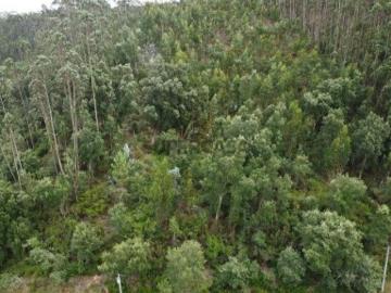 Terreno em Santiago e São Simão de Litém e Albergaria dos Doze de 840,00 m²