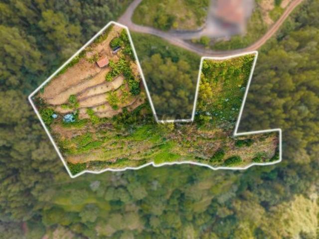 Terreno em Santo António da Serra