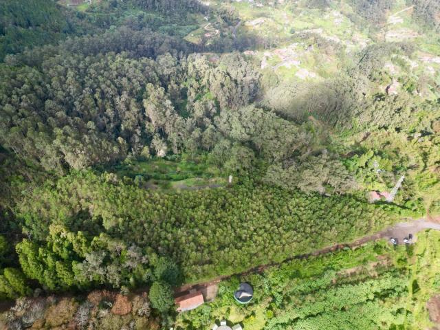 Terreno em Santo António da Serra, Madeira 12.455m2