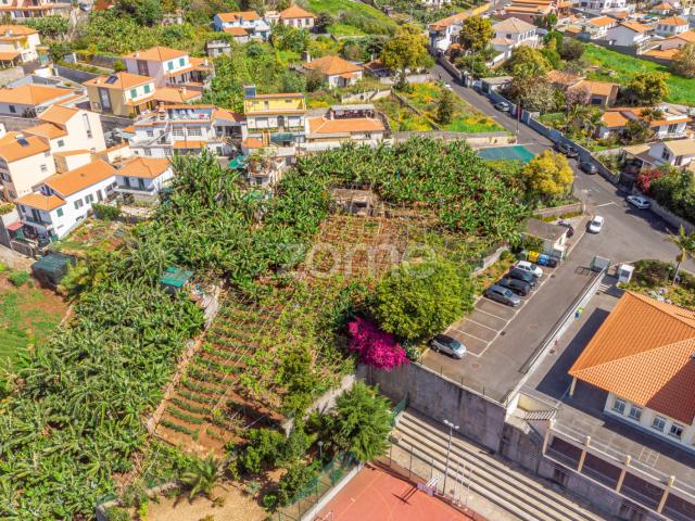 Terreno em Santo Antonio Funchal com 1770 m2