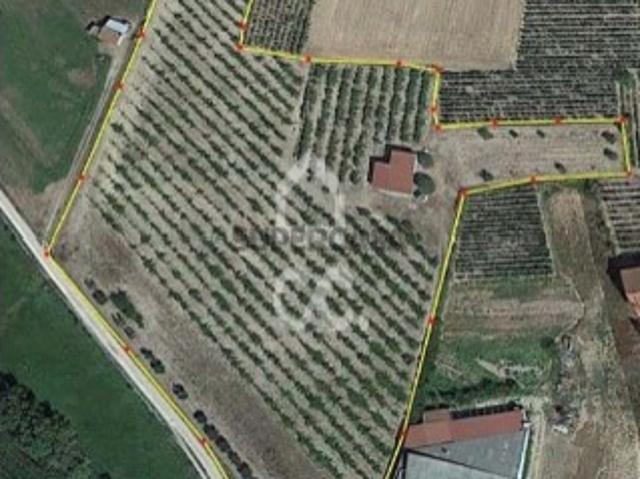 Terreno em Santo Estevão