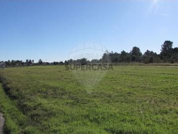 Terreno em Santo Estevão