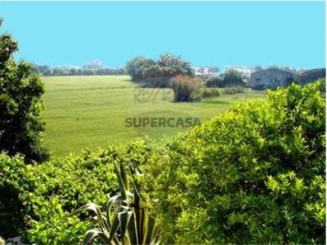 Terreno em Santo Estevão