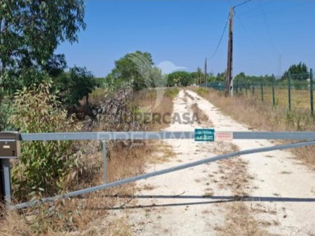 Terreno em Santo Estevão