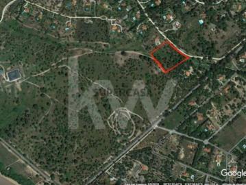 Terreno em Santo Estevão