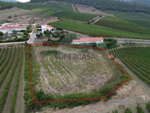 Terreno em Santo Quintino