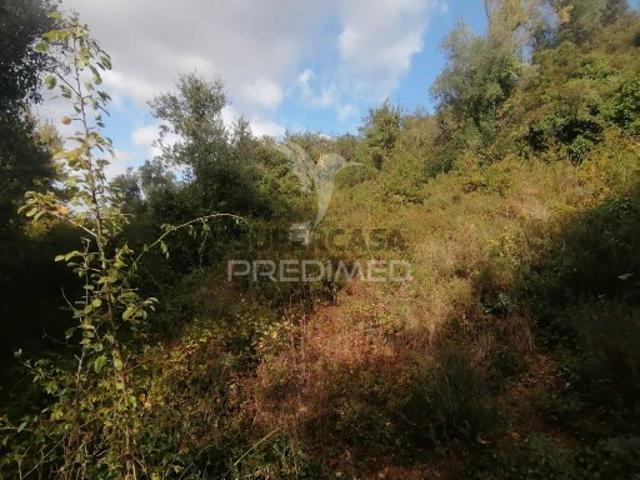 Terreno em Santo Quintino