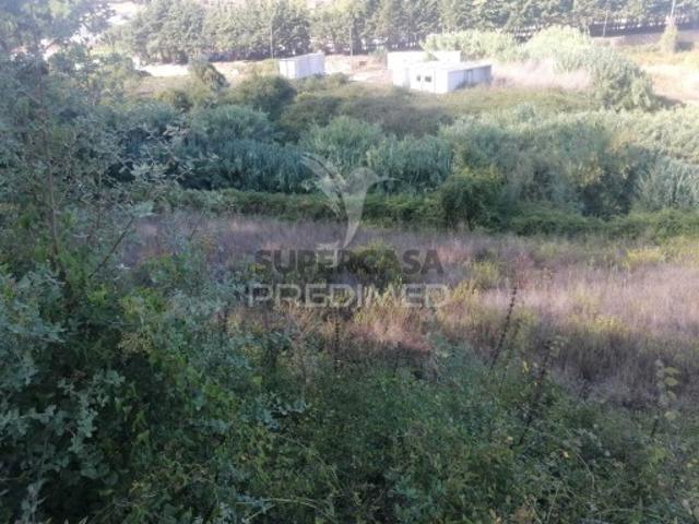 Terreno em Santo Quintino