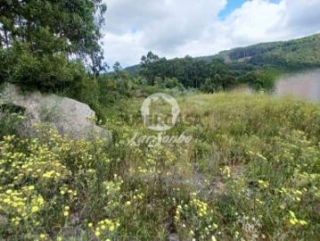 Terreno em Santo Tirso, Couto S.Cristina e S.Miguel e Burgães