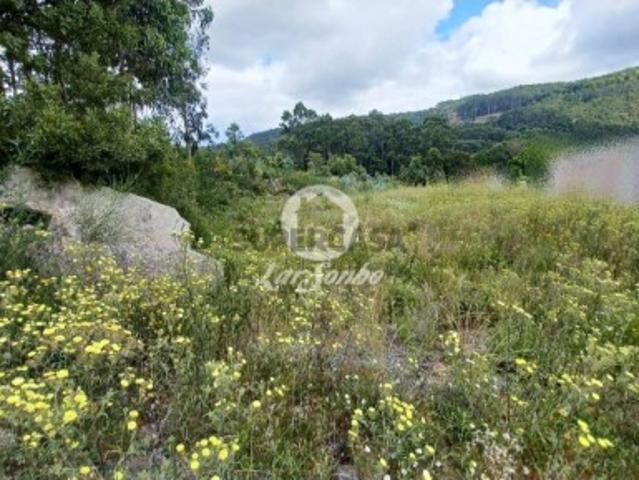 Terreno em Santo Tirso, Couto S.Cristina e S.Miguel e Burgães