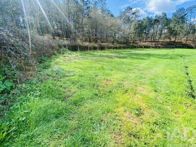 Terreno em Sapardos de 1460,00 m²